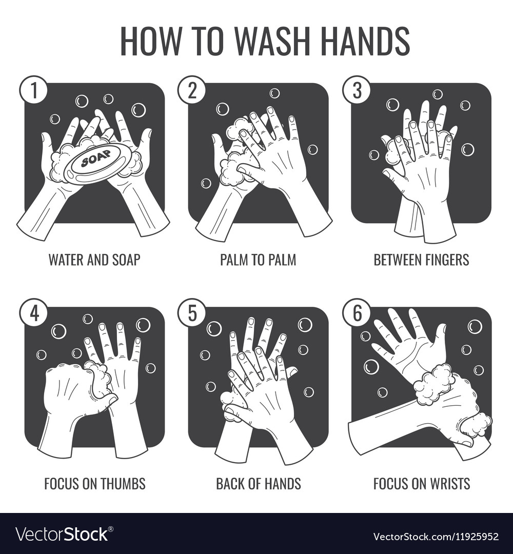 Hand washing instruction clean hands hygiene Vector Image