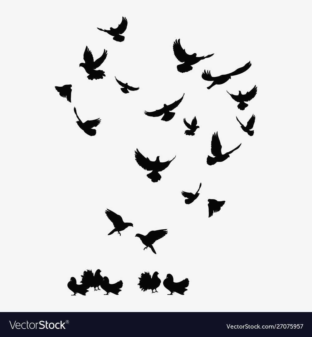Black Bird Flock Silhouette