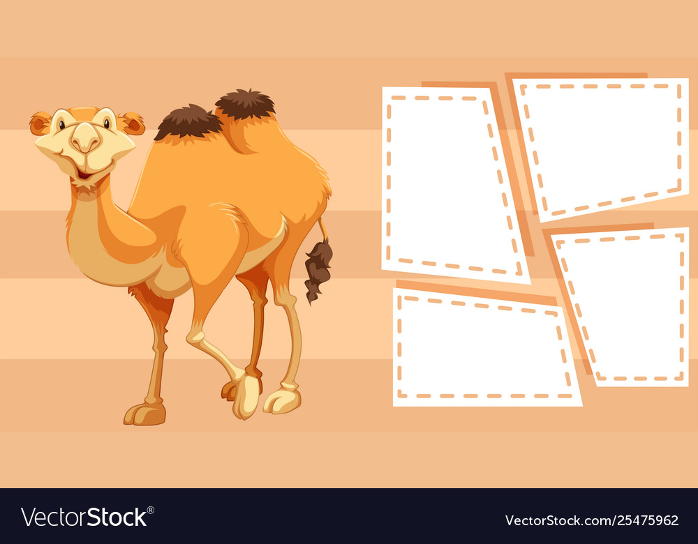 Camel on border frame