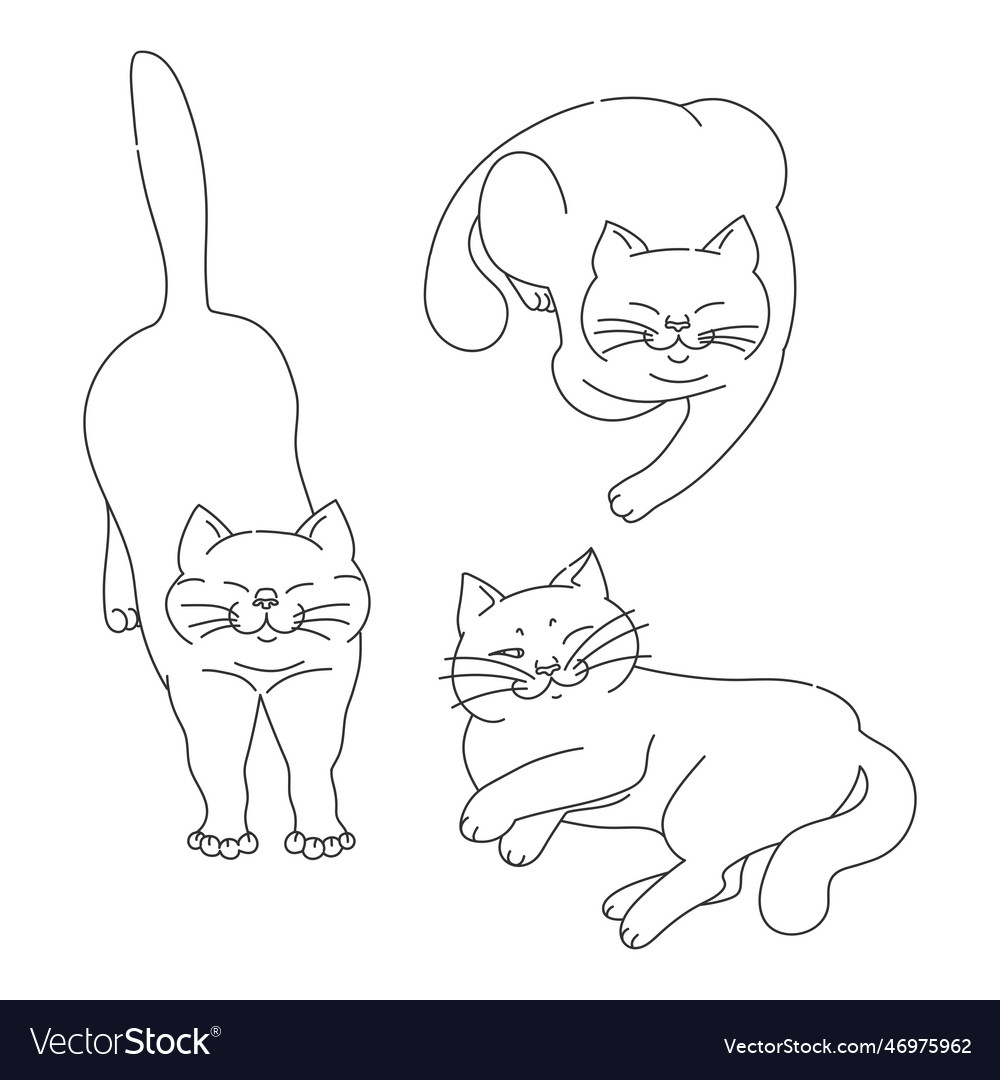 Cute cats contours in different poses isolated Vector Image