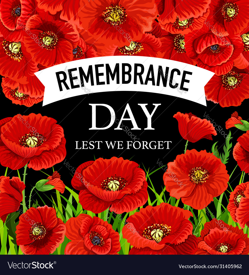 Remembrance Day November 11 Royalty Free Vector Image