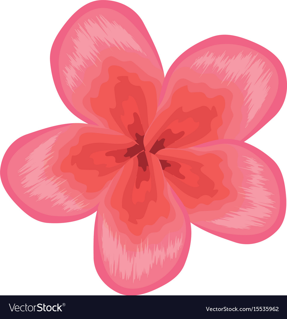 Tropical flower decorative icon Royalty Free Vector Image