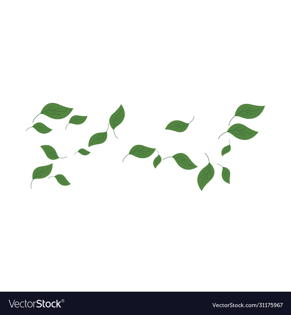 Leaf Pattern Background