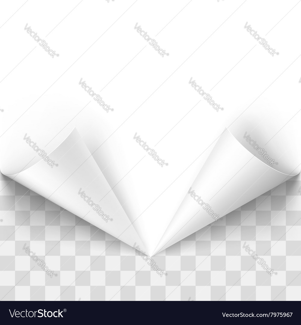 Paper curl