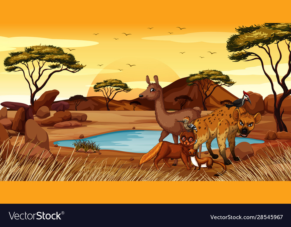 Scene with animals in savanna field Royalty Free Vector