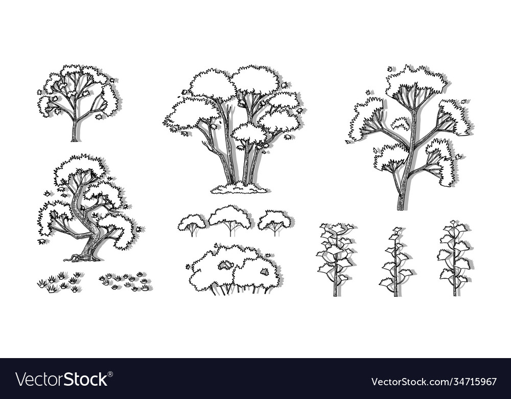 Tree-015-2