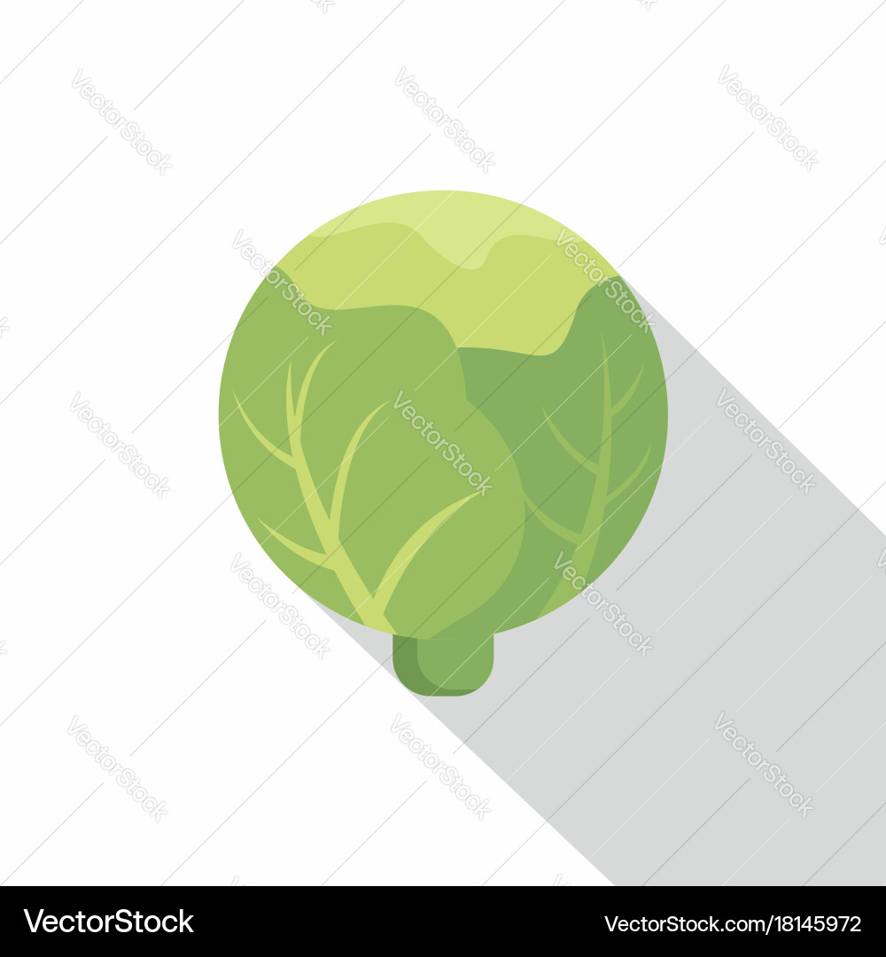 Cabbage icon flat style Royalty Free Vector Image