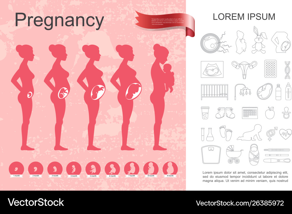 Схема беременности