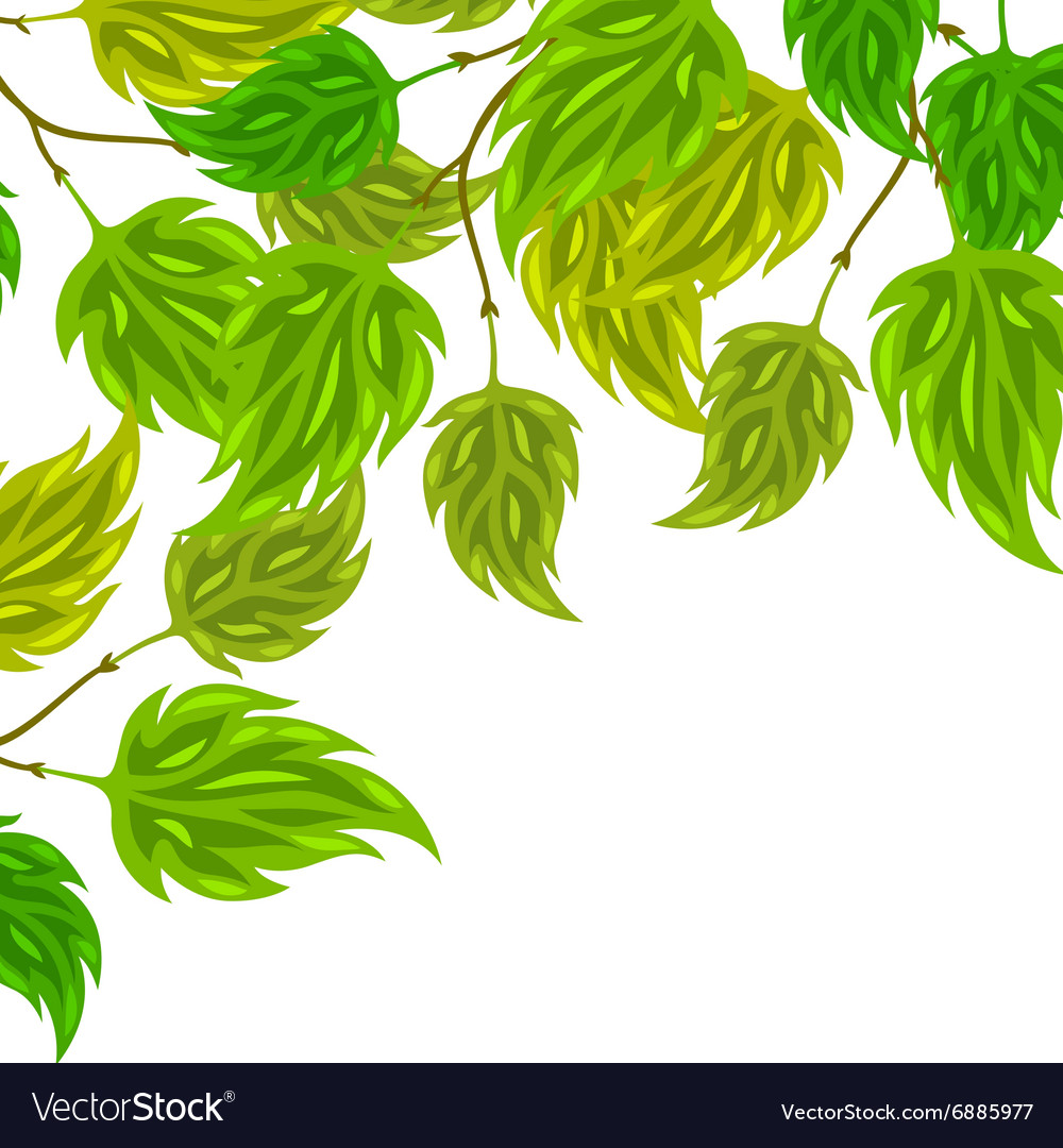 Background of stylized green leaves for greeting