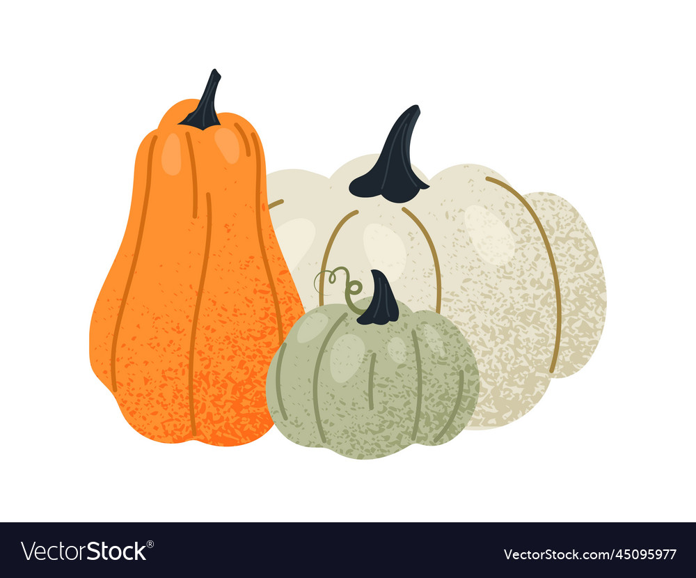 Colorful different pumpkins