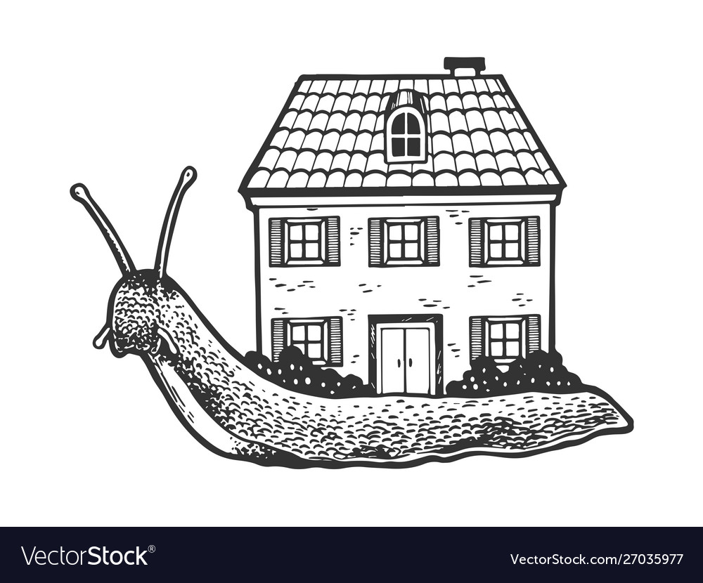 Snail with house instead shell sketch
