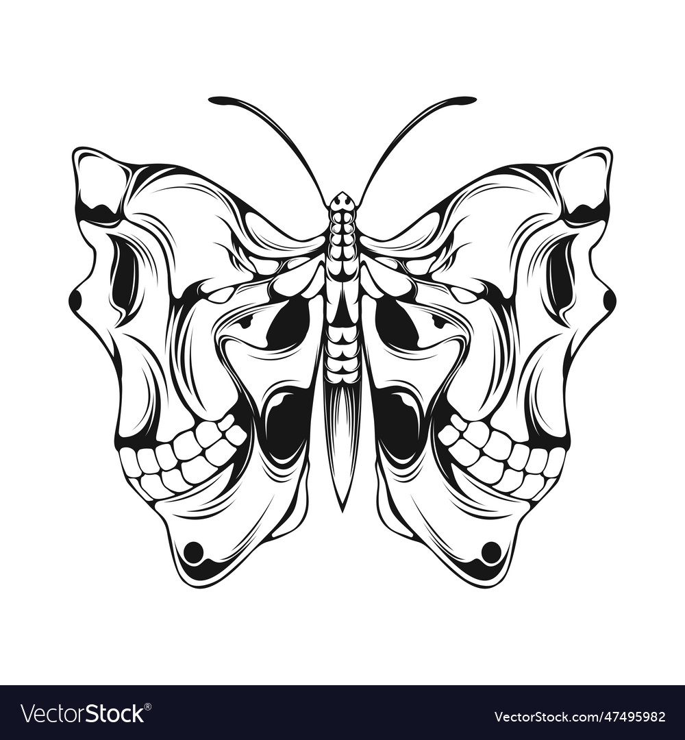 Butterfly and skull with wing lineart illus Vector Image