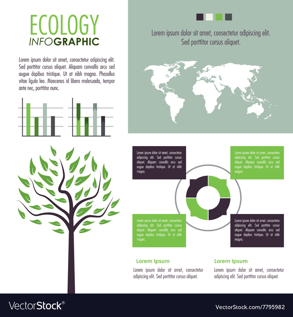 Ecology infographic design