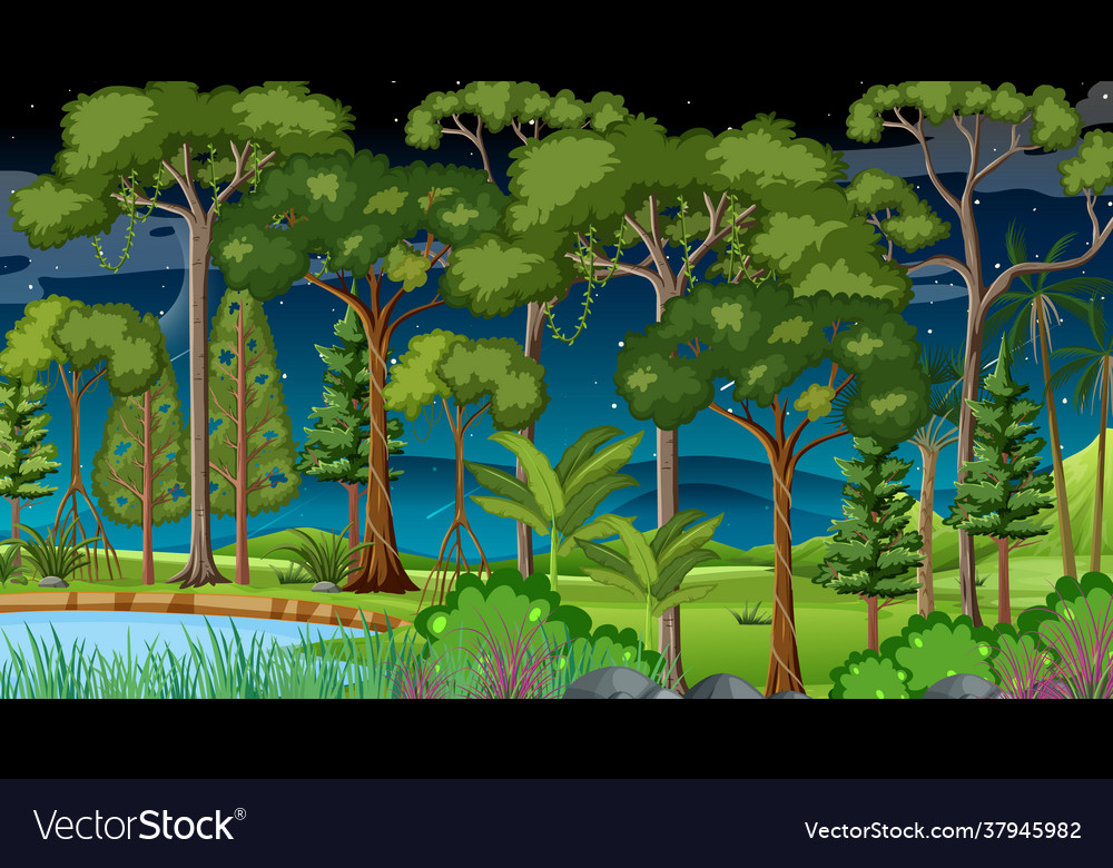 Forest landscape scene at night with many