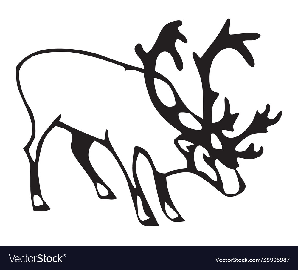 Caribou deer und indigene Völker nördlich