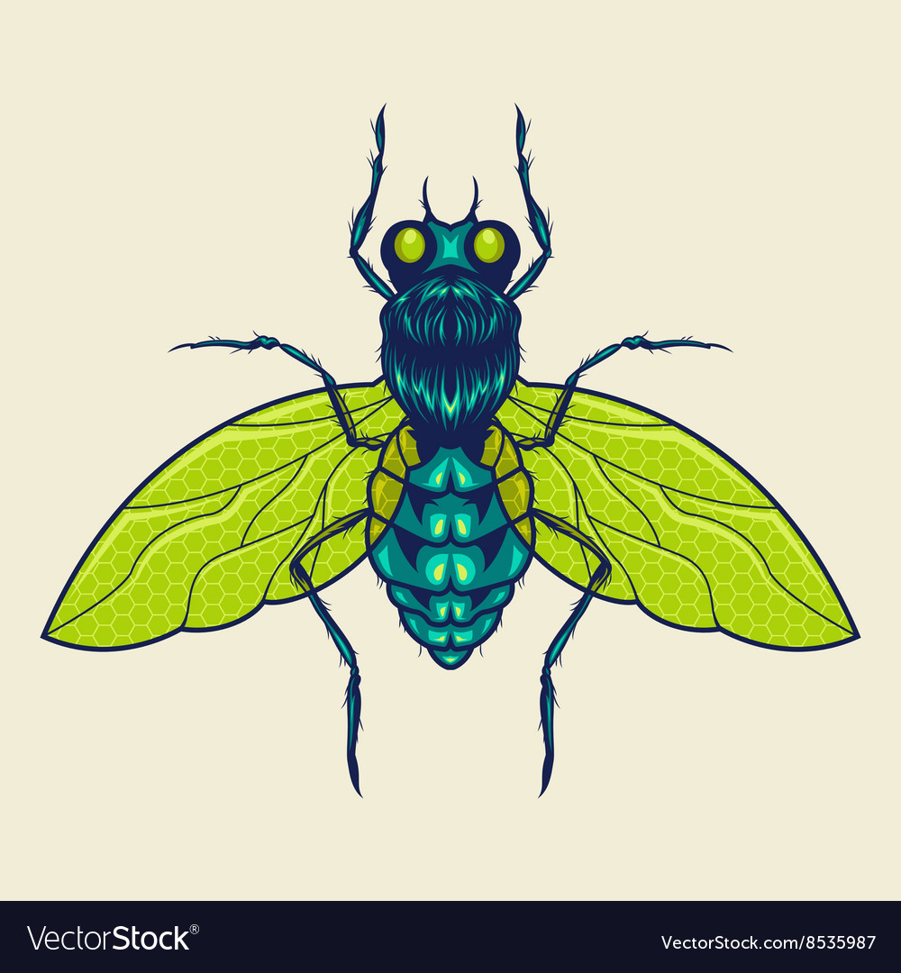 Flies mascot Royalty Free Vector Image - VectorStock