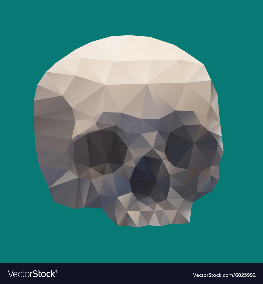 Human skull in a triangular style