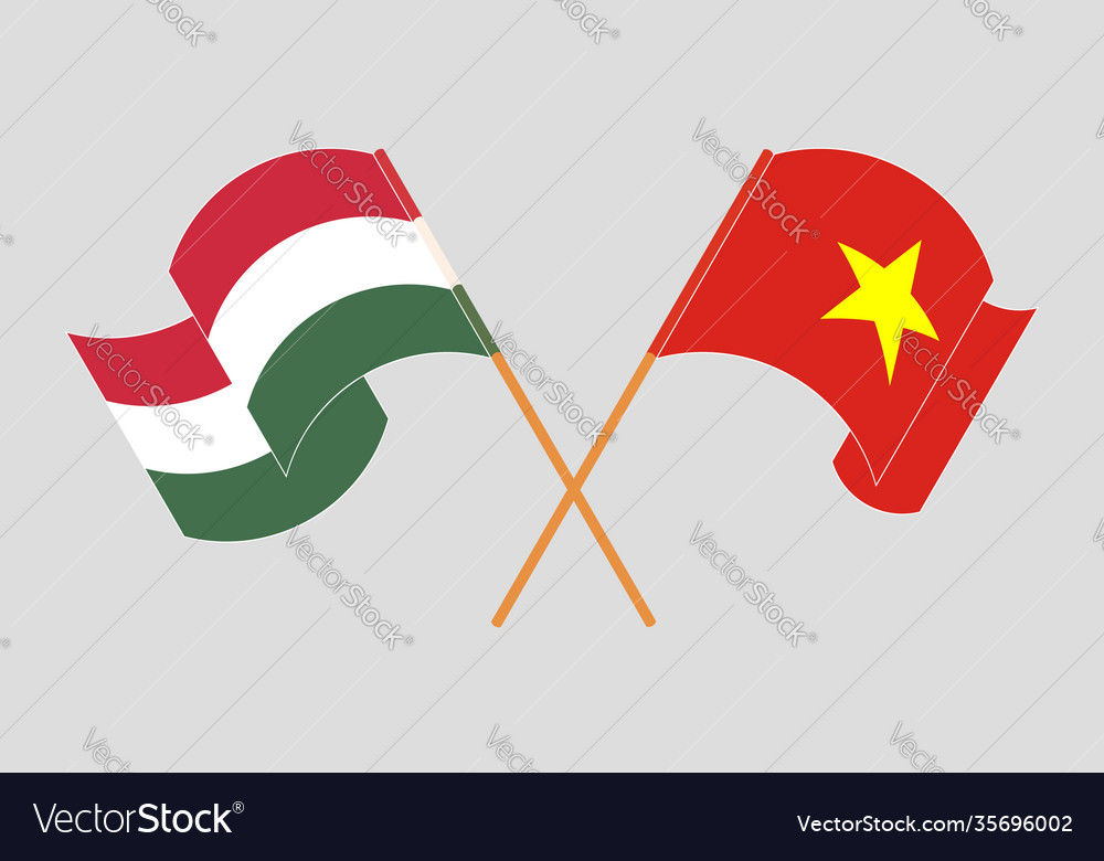 Crossed and waving flags hungary vietnam