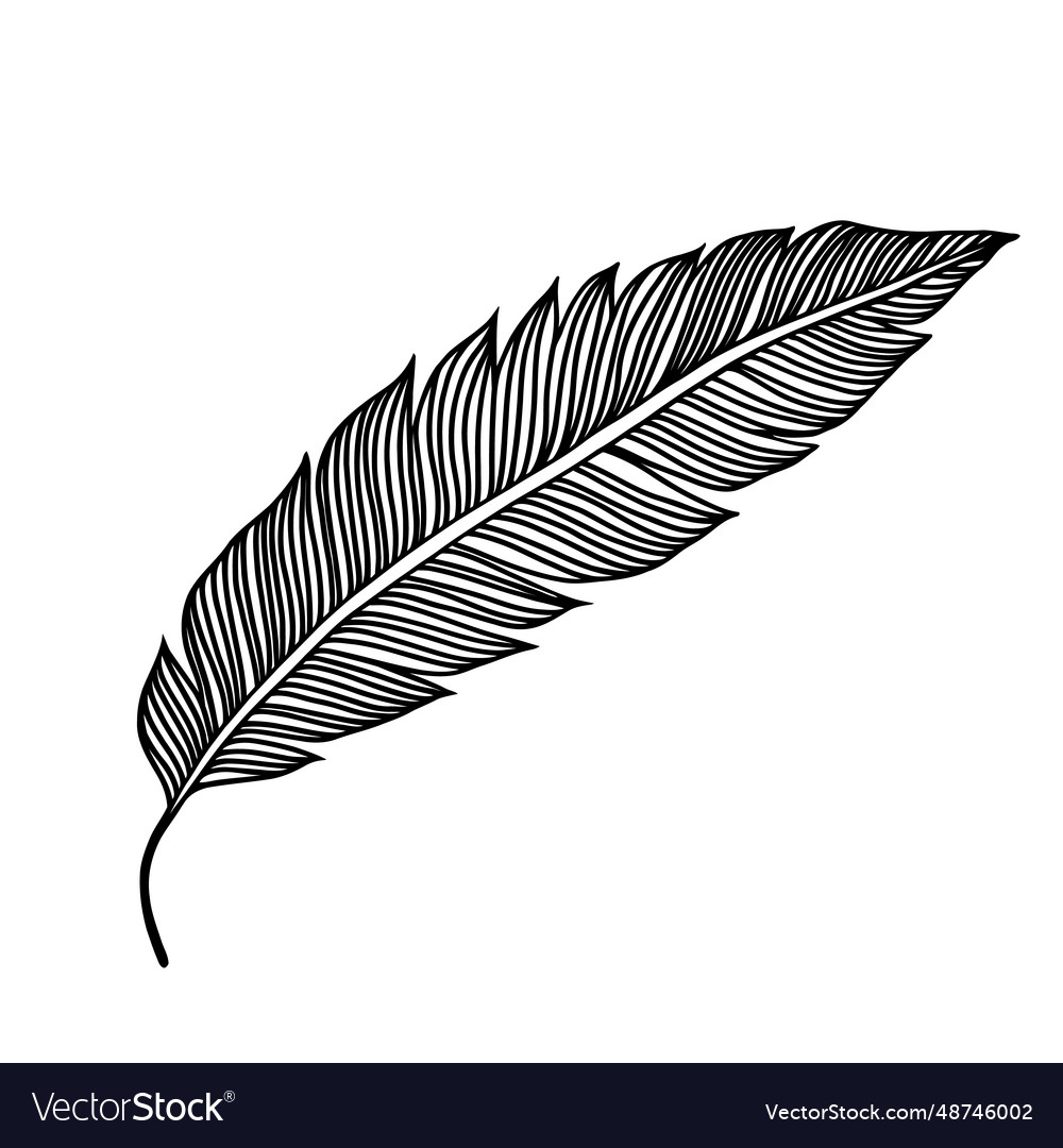 Leaf black icon tropical isolated