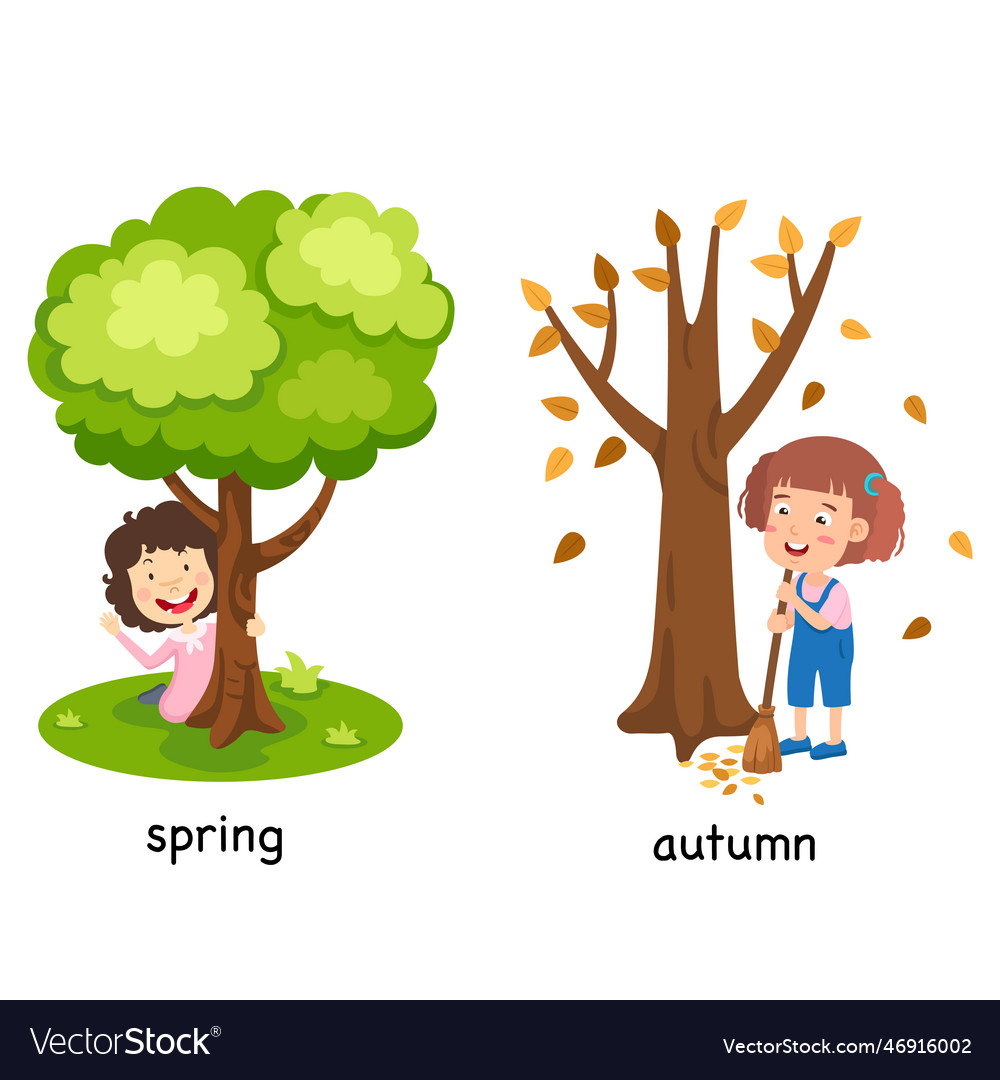 Opposite spring and autumn Royalty Free Vector Image