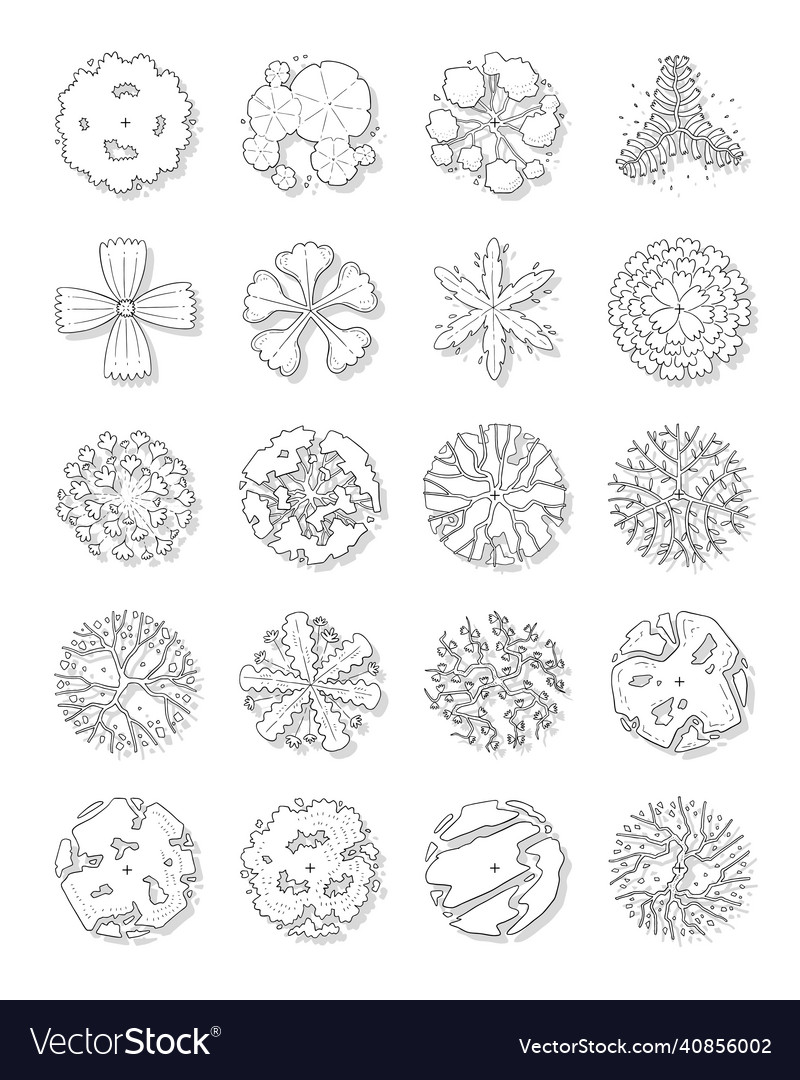 Top View Tree Sketch Set