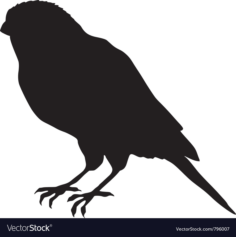 Black Canary Silhouette