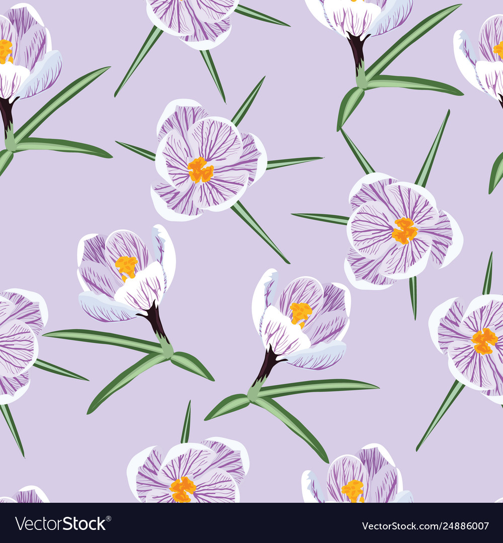 Pattern with spring purple crocus vector image Pattern with spring purple crocus