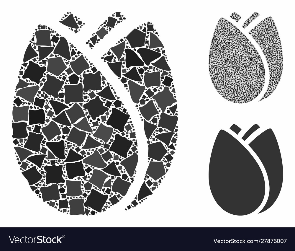 Tulip bud composition icon humpy elements Vector Image Tulip bud composition icon humpy elements