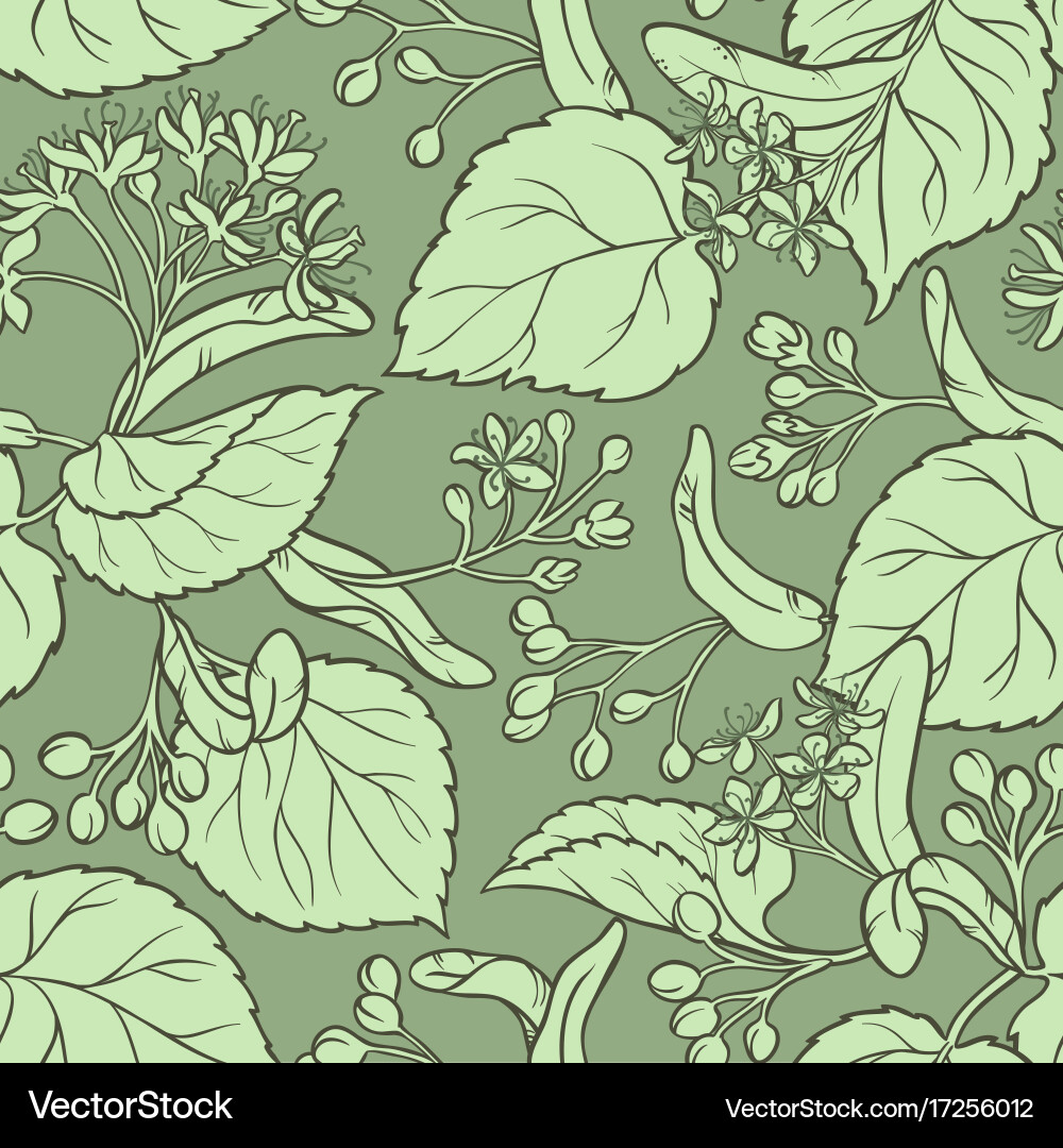 Linden pattern Royalty Free Vector Image - VectorStock