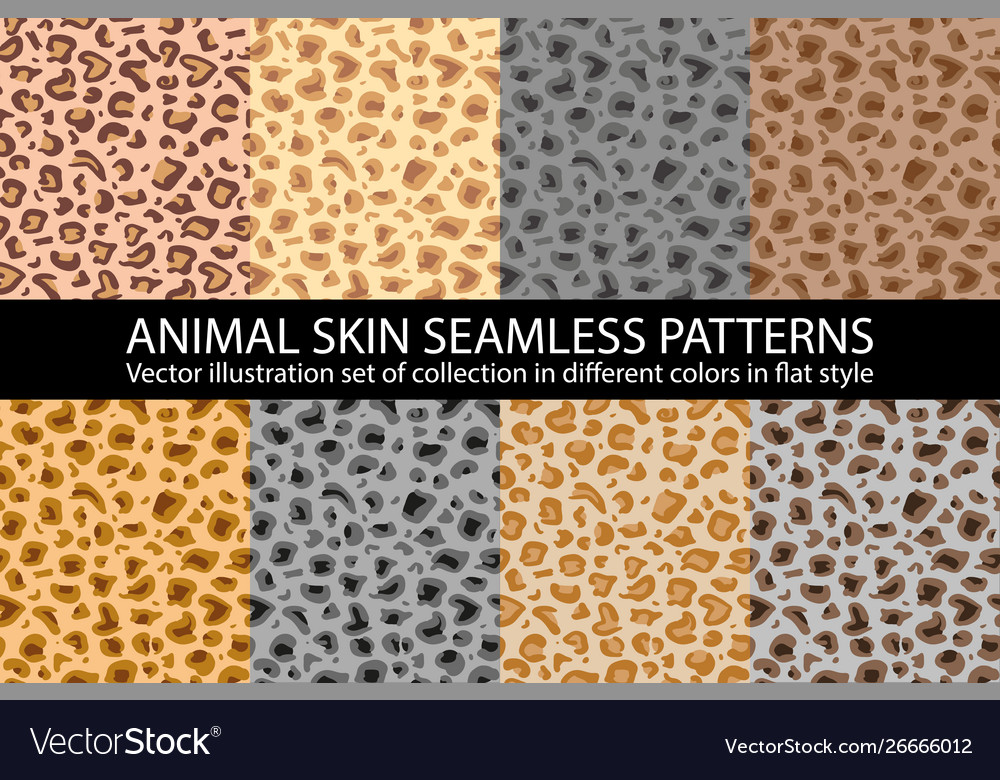 Set natural animal skin seamless pattern texture Vector Image Set natural animal skin seamless pattern texture Vector Image