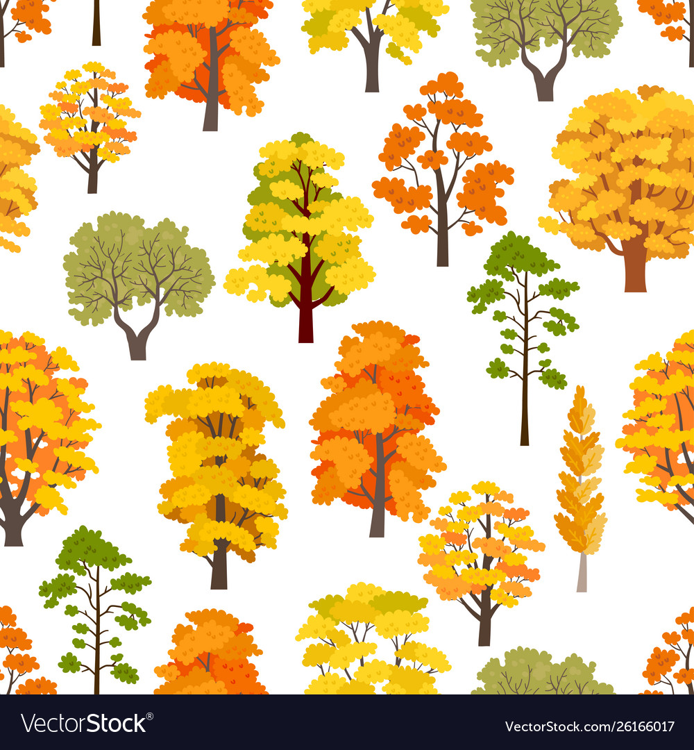 Autumn forest trees pattern a woodland background vector image Autumn forest trees pattern a woodland background