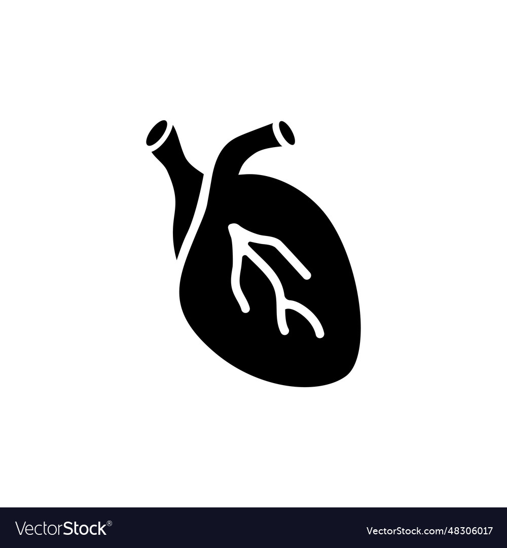 Human Heart Icon Royalty Free Vector Image Vectorstock Human Heart Icon Royalty Free Vector Image Vectorstock