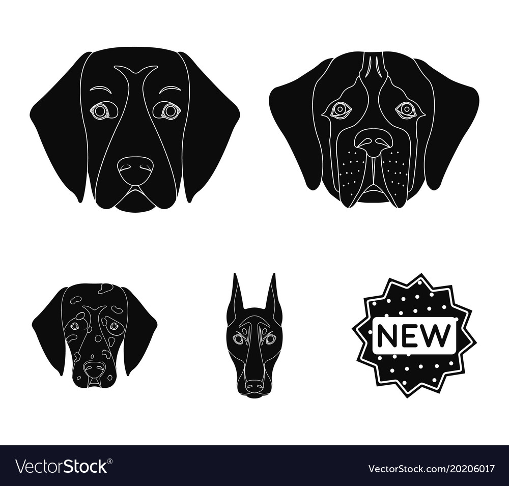 Muzzle of different breeds dogsdog Royalty Free Vector Image