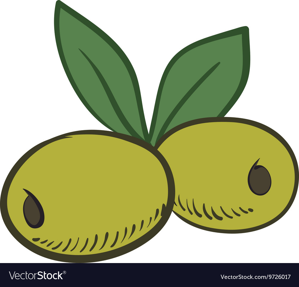 Olive fruit icon organic and healthy food design