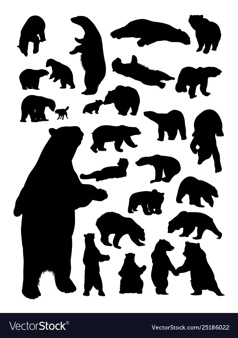 Bear silhouettes vector image Bear silhouettes