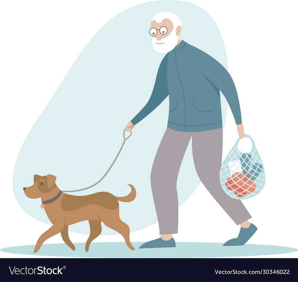 Senior man walking for groceries with his dog Vector Image