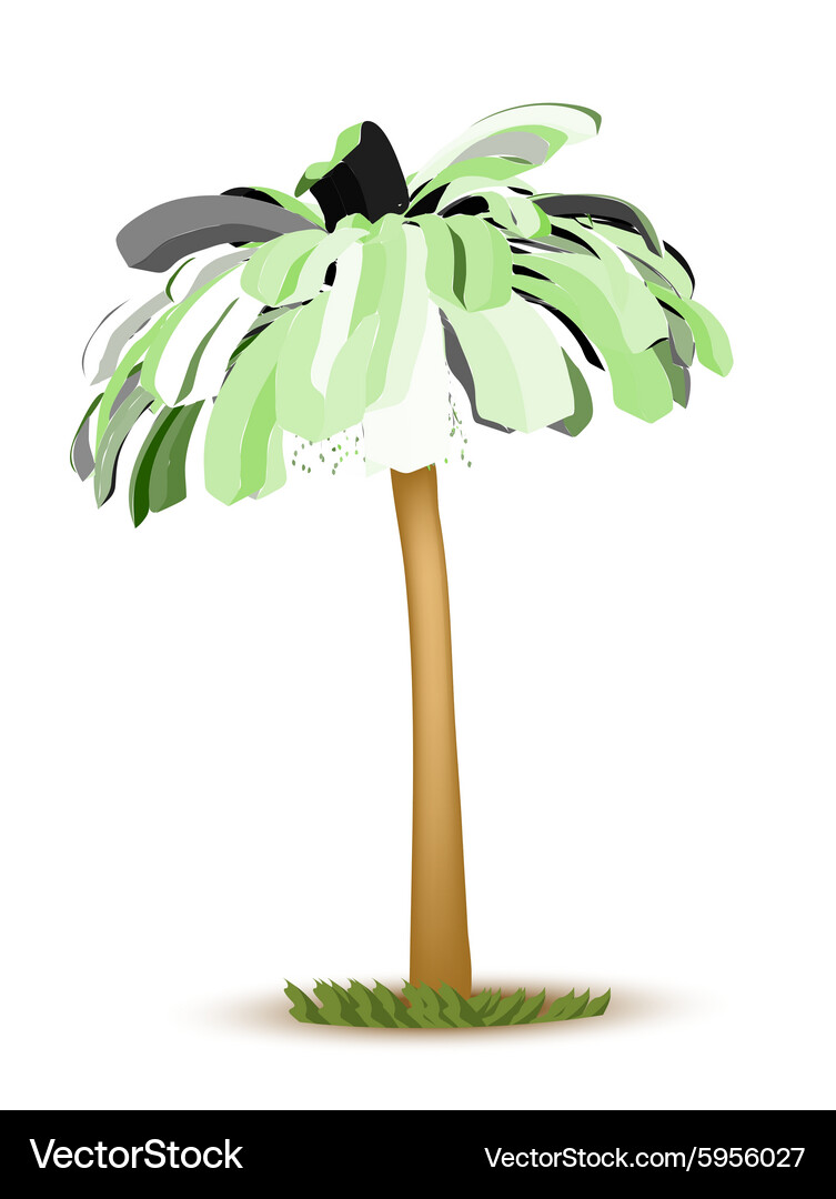 Palm tree Royalty Free Vector Image - VectorStock