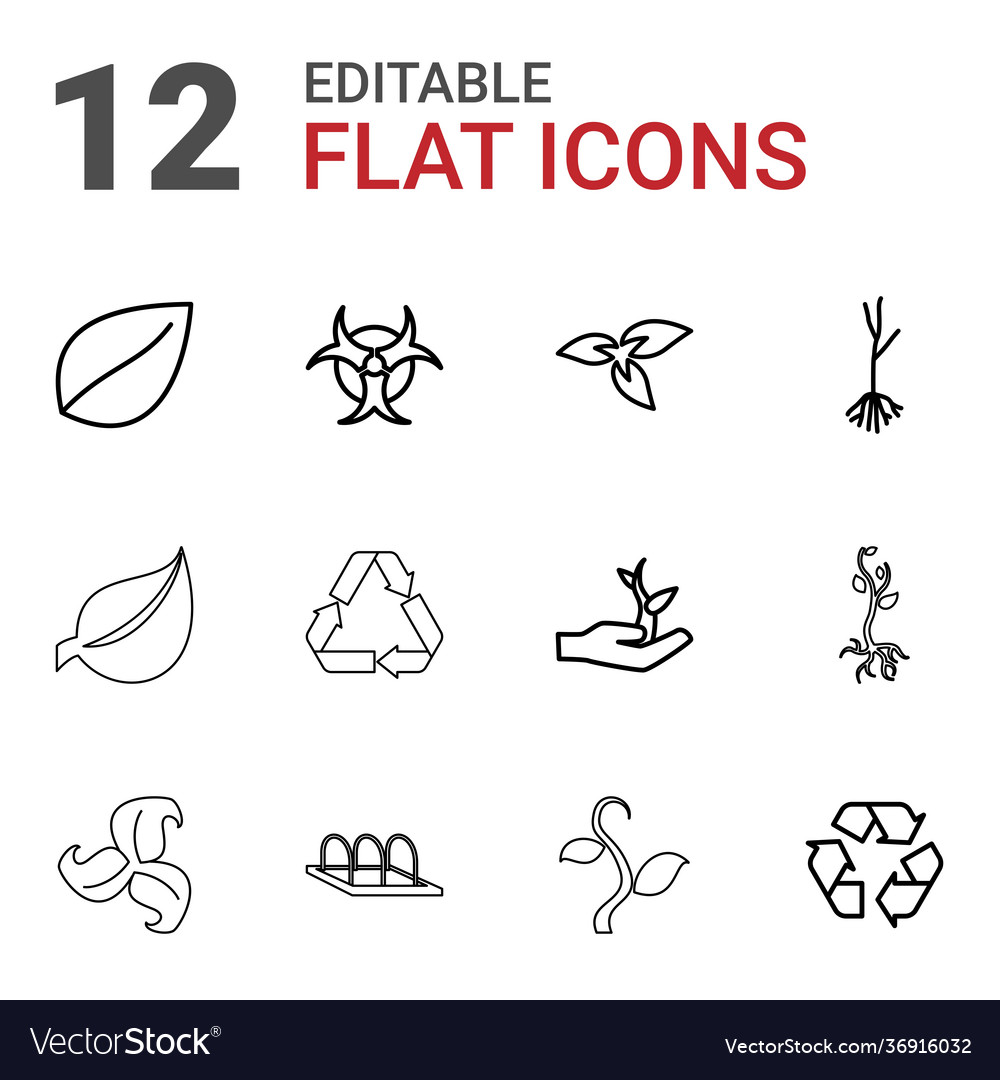 12 Bio-Icons Lizenzfreies Vektorbild - VectorStock