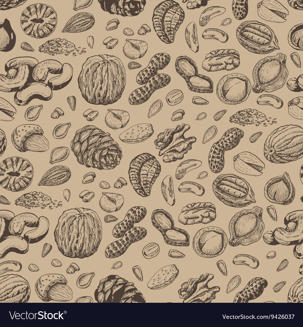 Nut Seed Pattern - Diverse Nuts