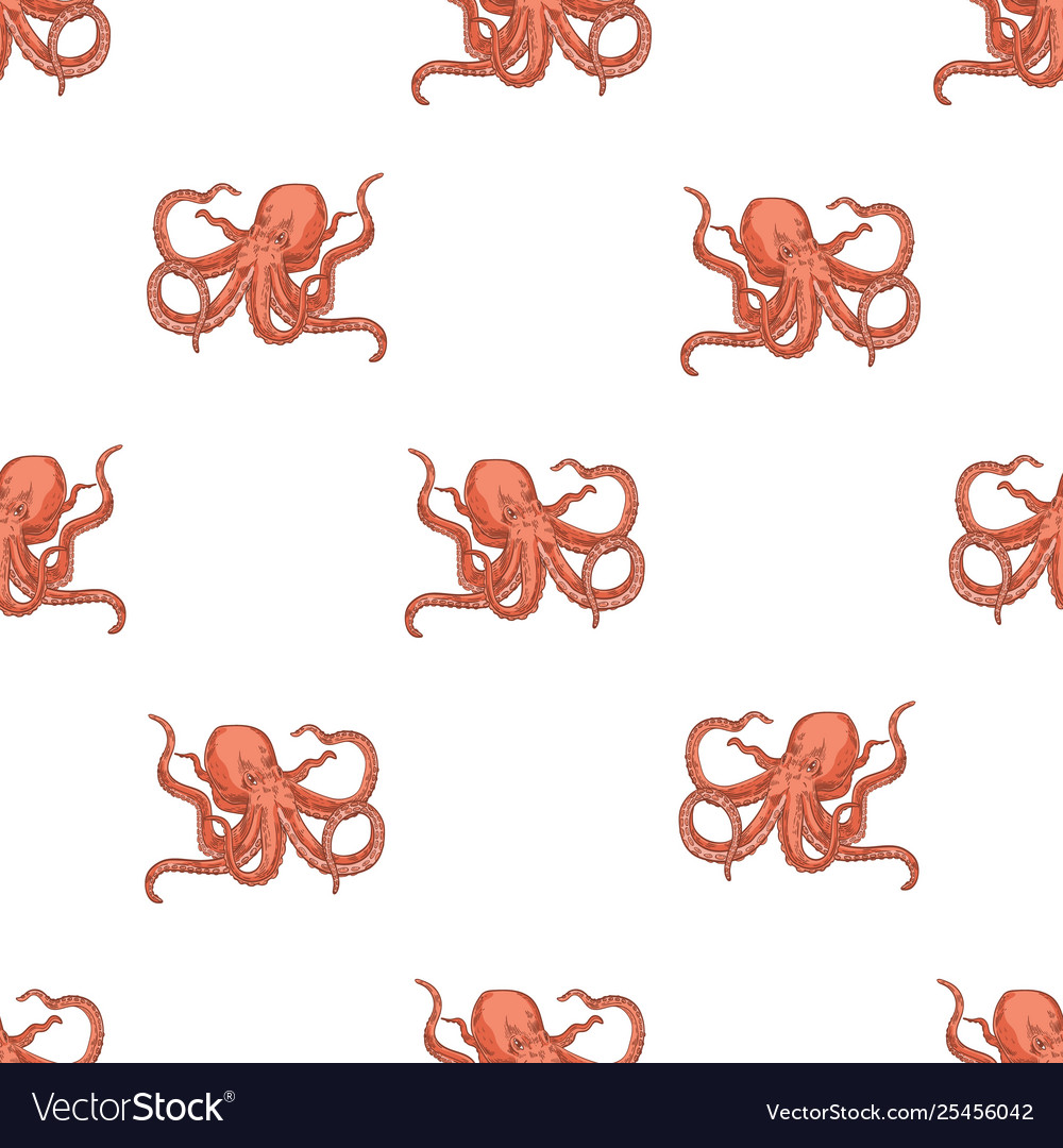 Seamless pattern with octopus on white background