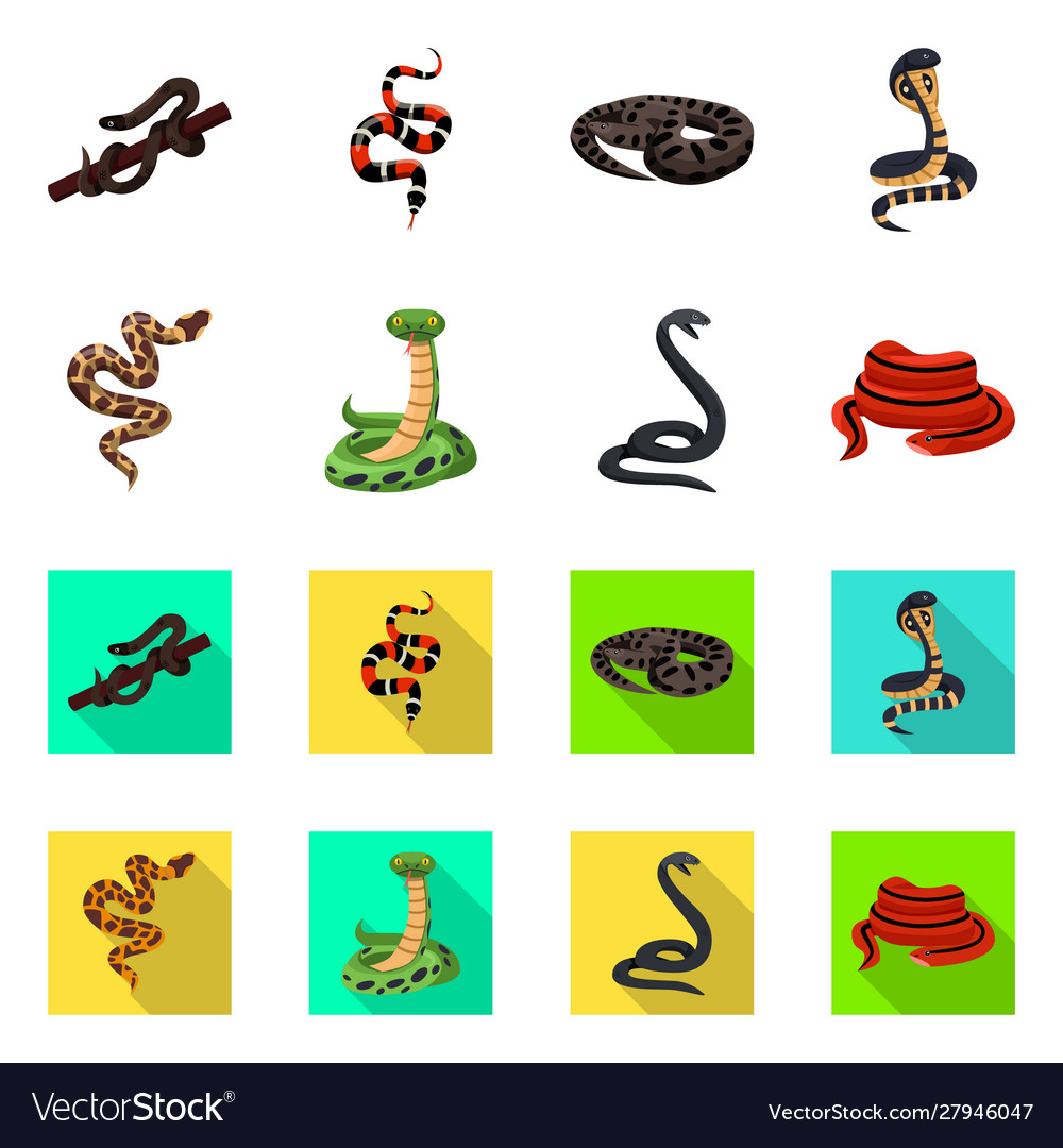 Isolated object snake and creepy icon set Vector Image Isolated object snake and creepy icon set