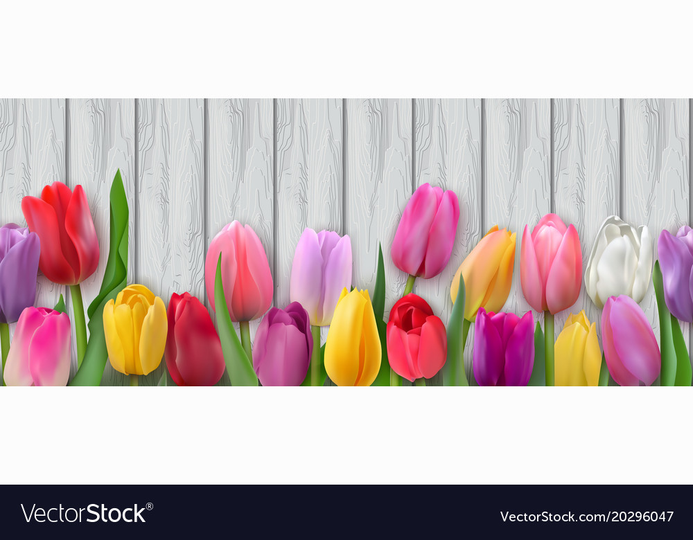 Seamless horizontal pattern with tulips