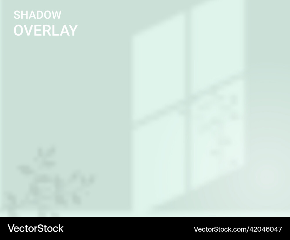 Window shadow overlay effect indoor background Vector Image