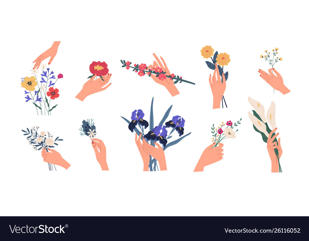 Collection Hands Holding Bouquets Or Bunches Of Vector Image 1655