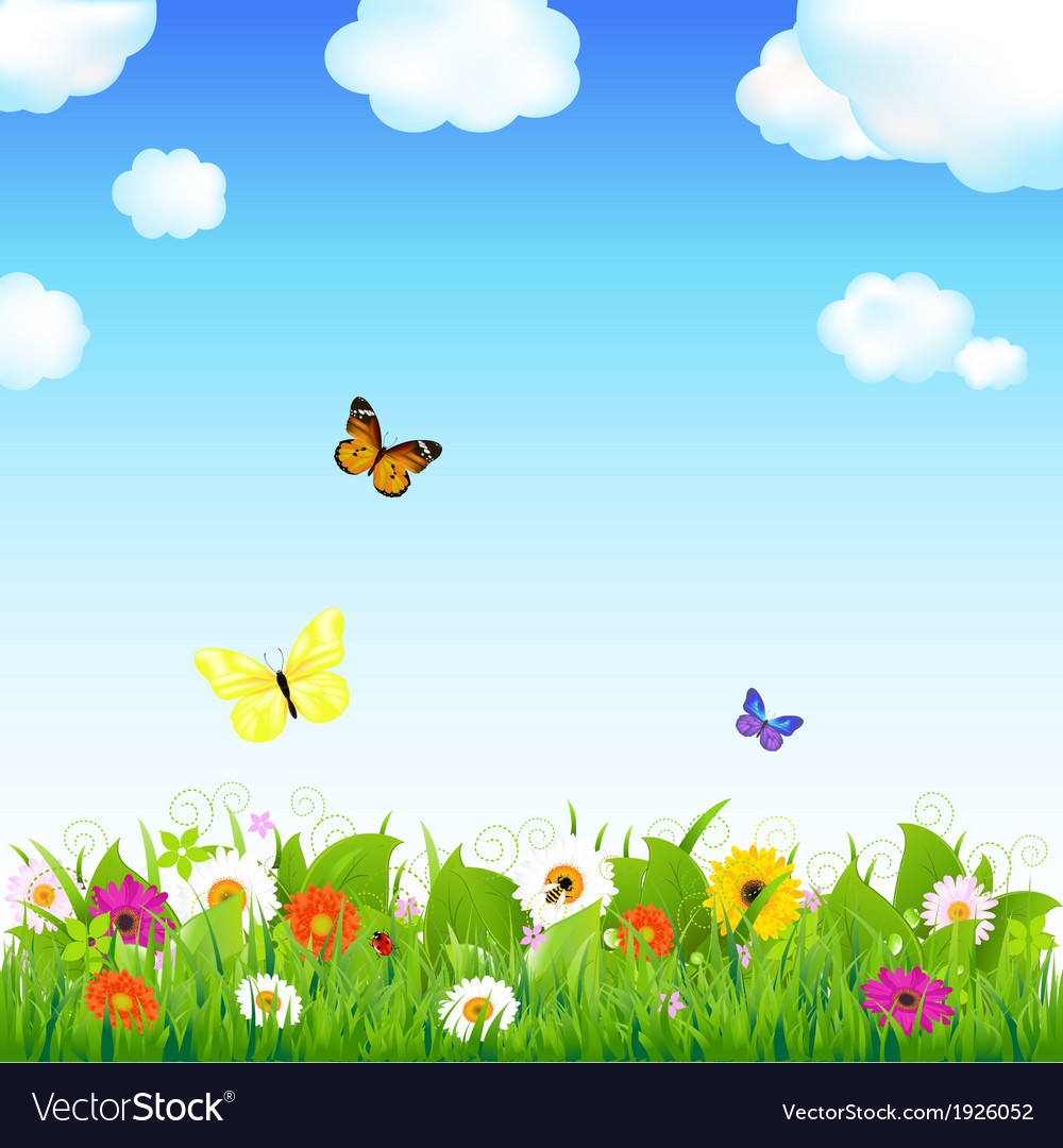 Flower meadow with butterflies Royalty Free Vector Image