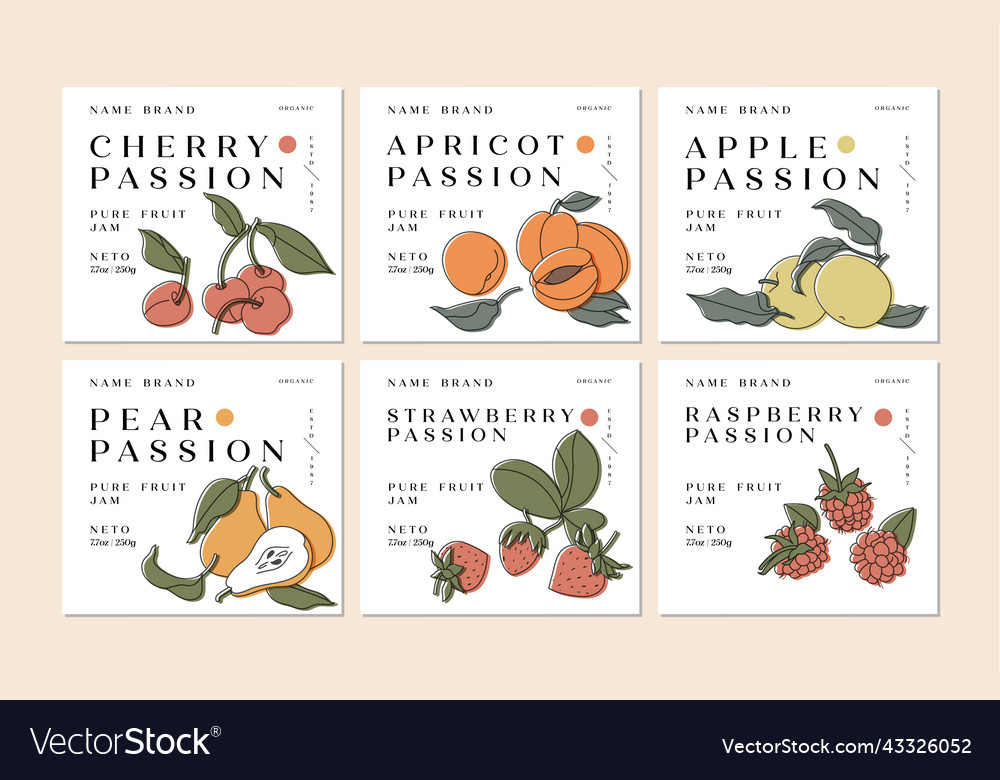 Set of design labels vector image Set of design labels