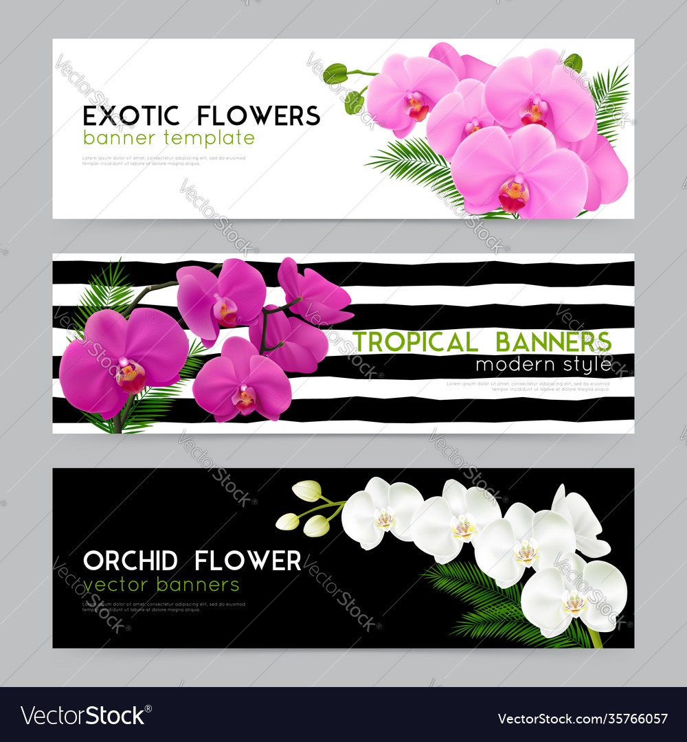 Blooming orchids realistic banners set