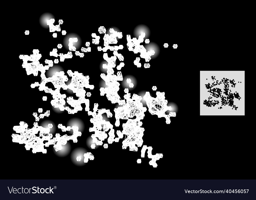 Glitter net mesh particle swarm with glare spots vector image Glitter net mesh particle swarm with glare spots