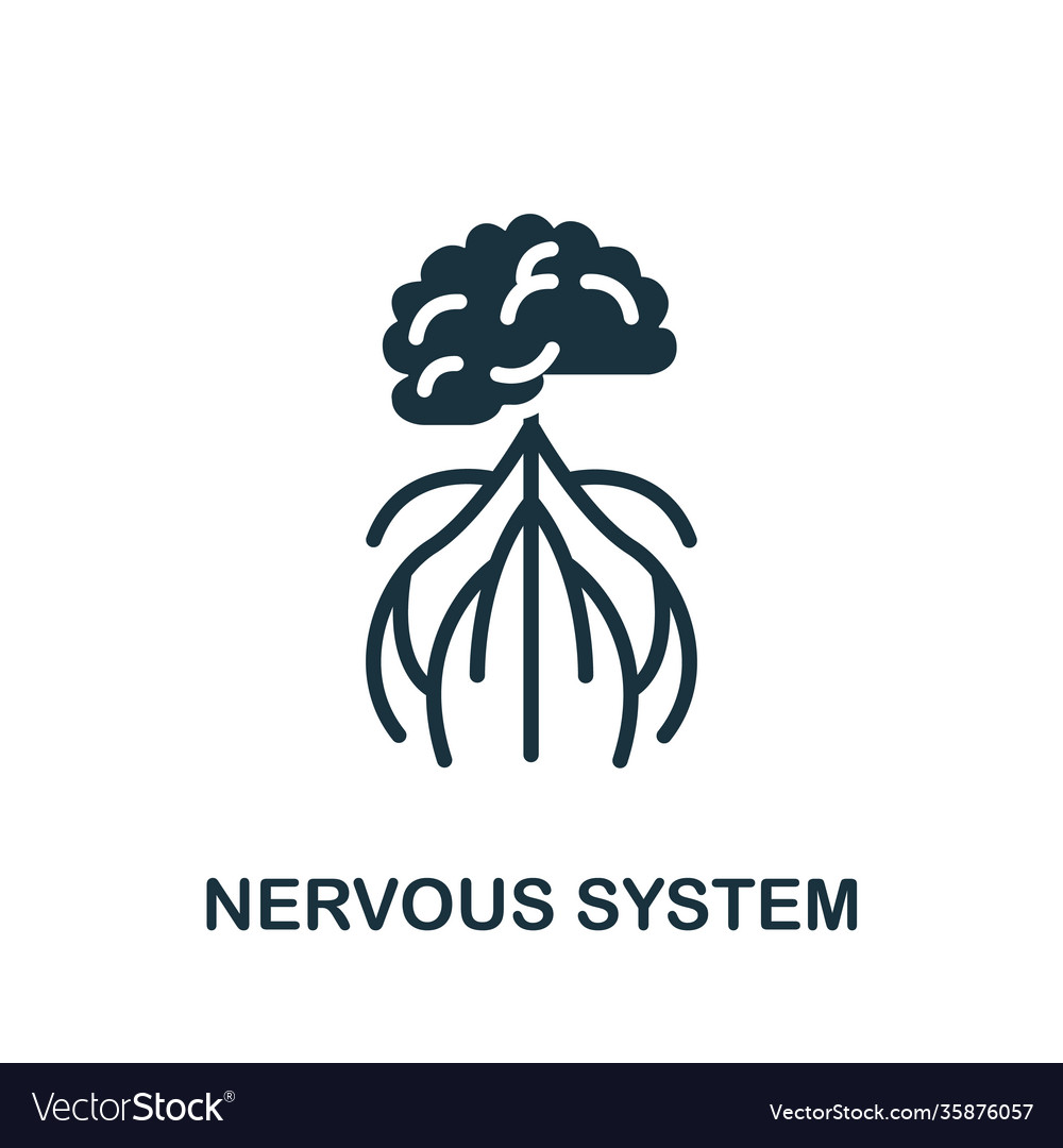 Nervous system icon simple element from internal Vector Image