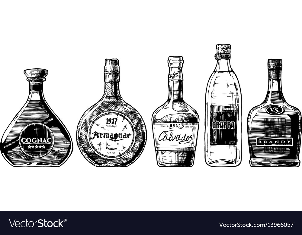 Types brandy Royalty Free Vector Image - VectorStock